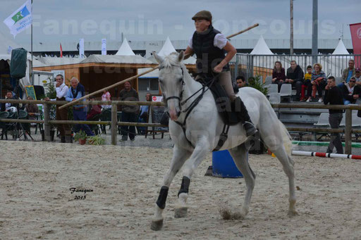 Salon Equitaine de Bordeaux 2015 - Concours d'Equitation de Travail avec chevaux Ibériques - Épreuves de Maniabilités Chronométré - 027