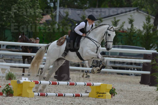 Salon Equitaine de Bordeaux 2015 - Concours d'Equitation de Travail avec chevaux Ibériques - Épreuves de Maniabilités Chronométré - 145