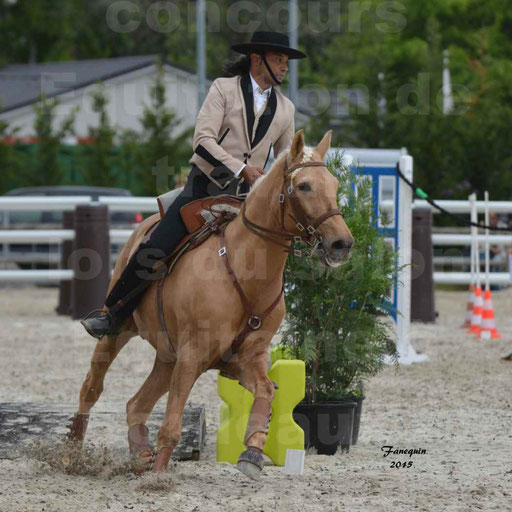 Salon Equitaine de Bordeaux 2015 - Concours d'Equitation de Travail avec chevaux Ibériques - Épreuves de Maniabilités Chronométré - 127