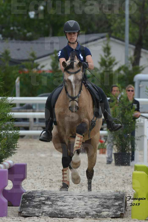 Salon Equitaine de Bordeaux 2015 - Concours d'Equitation de Travail avec chevaux Ibériques - Épreuves de Maniabilités Chronométré - 103