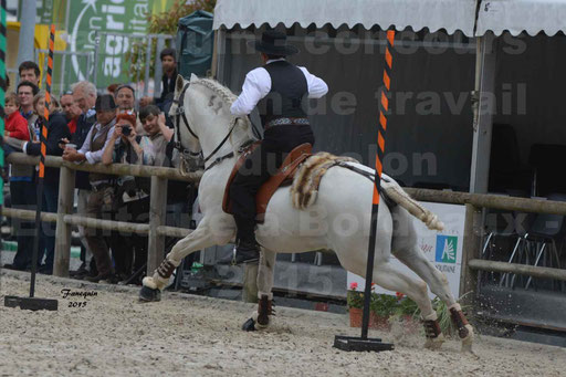 Salon Equitaine de Bordeaux 2015 - Concours d'Equitation de Travail avec chevaux Ibériques - Épreuves de Maniabilités Chronométré - 067