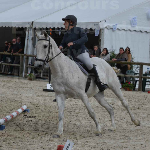 Salon Equitaine de Bordeaux 2015 - Concours d'Equitation de Travail avec chevaux Ibériques - Épreuves de Maniabilités Chronométré - 135