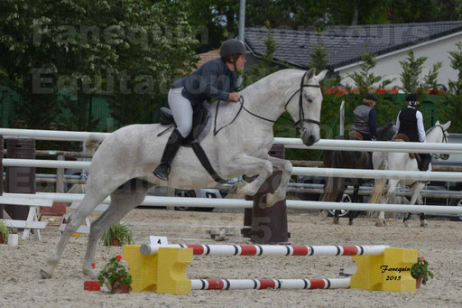 Salon Equitaine de Bordeaux 2015 - Concours d'Equitation de Travail avec chevaux Ibériques - Épreuves de Maniabilités Chronométré - 130