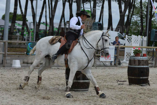 Salon Equitaine de Bordeaux 2015 - Concours d'Equitation de Travail avec chevaux Ibériques - Épreuves de Maniabilités Chronométré - 074