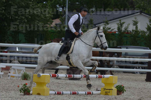 Salon Equitaine de Bordeaux 2015 - Concours d'Equitation de Travail avec chevaux Ibériques - Épreuves de Maniabilités Chronométré - 036