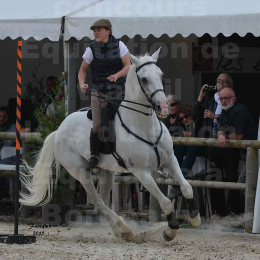 Salon Equitaine de Bordeaux 2015 - Concours d'Equitation de Travail avec chevaux Ibériques - Épreuves de Maniabilités Chronométré - 026
