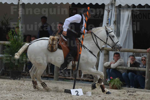 Salon Equitaine de Bordeaux 2015 - Concours d'Equitation de Travail avec chevaux Ibériques - Épreuves de Maniabilités Chronométré - 073