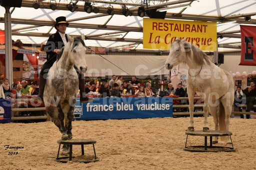 Cheval Passion 2019 - Patrick Olivier BOUCHET