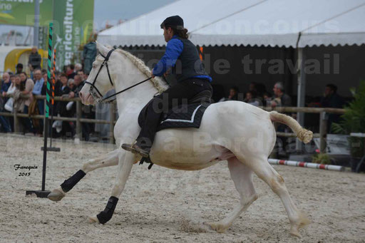 Salon Equitaine de Bordeaux 2015 - Concours d'Equitation de Travail avec chevaux Ibériques - Épreuves de Maniabilités Chronométré - 014