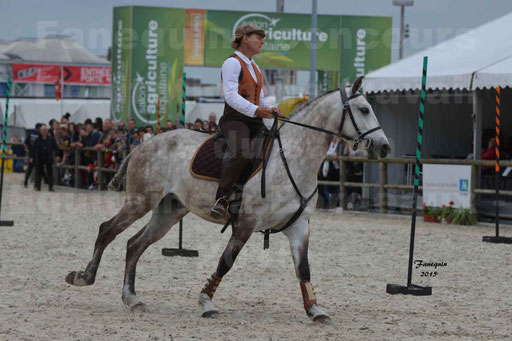 Salon Equitaine de Bordeaux 2015 - Concours d'Equitation de Travail avec chevaux Ibériques - Épreuves de Maniabilités Chronométré - 051
