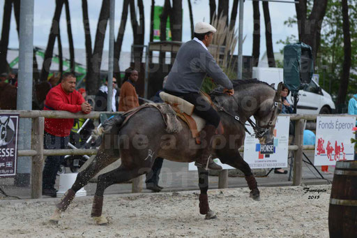 Salon Equitaine de Bordeaux 2015 - Concours d'Equitation de Travail avec chevaux Ibériques - Épreuves de Maniabilités Chronométré - 082