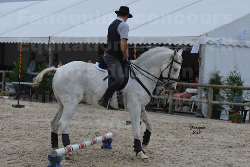 Salon Equitaine de Bordeaux 2015 - Concours d'Equitation de Travail avec chevaux Ibériques - Épreuves de Maniabilités Chronométré - 159