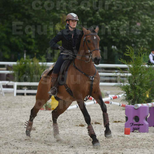 Salon Equitaine de Bordeaux 2015 - Concours d'Equitation de Travail avec chevaux Ibériques - Épreuves de Maniabilités Chronométré - 047