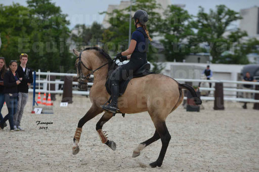 Salon Equitaine de Bordeaux 2015 - Concours d'Equitation de Travail avec chevaux Ibériques - Épreuves de Maniabilités Chronométré - 102