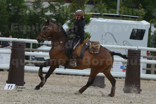 Salon Equitaine de Bordeaux 2015 - Concours d'Equitation de Travail avec chevaux Ibériques - Épreuves de Maniabilités Chronométré - 043