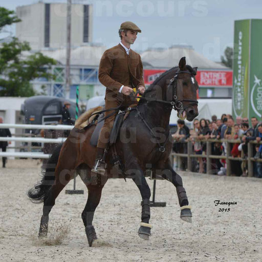 Salon Equitaine de Bordeaux 2015 - Concours d'Equitation de Travail avec chevaux Ibériques - Épreuves de Maniabilités Chronométré - 059