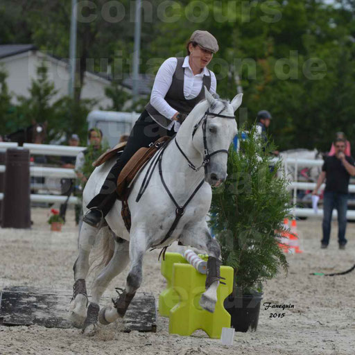 Salon Equitaine de Bordeaux 2015 - Concours d'Equitation de Travail avec chevaux Ibériques - Épreuves de Maniabilités Chronométré - 141