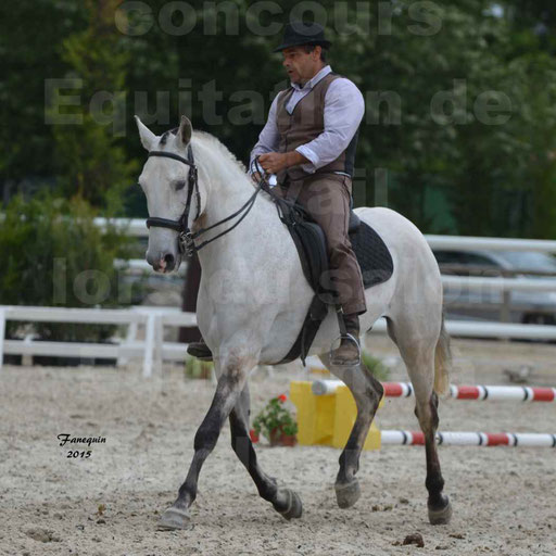 Salon Equitaine de Bordeaux 2015 - Concours d'Equitation de Travail avec chevaux Ibériques - Épreuves de Maniabilités Chronométré - 083