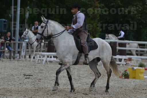 Salon Equitaine de Bordeaux 2015 - Concours d'Equitation de Travail avec chevaux Ibériques - Épreuves de Maniabilités Chronométré - 084