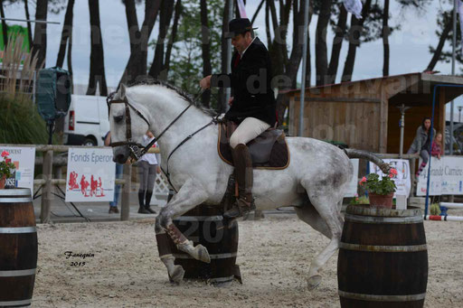 Salon Equitaine de Bordeaux 2015 - Concours d'Equitation de Travail avec chevaux Ibériques - Épreuves de Maniabilités Chronométré - 097