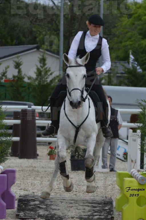 Salon Equitaine de Bordeaux 2015 - Concours d'Equitation de Travail avec chevaux Ibériques - Épreuves de Maniabilités Chronométré - 149