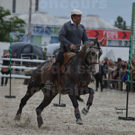 Salon Equitaine de Bordeaux 2015 - Concours d'Equitation de Travail avec chevaux Ibériques - Épreuves de Maniabilités Chronométré - 076