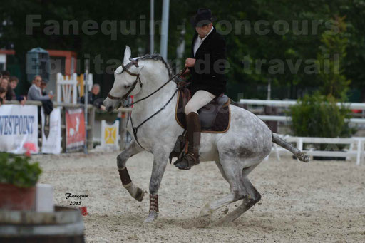 Salon Equitaine de Bordeaux 2015 - Concours d'Equitation de Travail avec chevaux Ibériques - Épreuves de Maniabilités Chronométré - 094