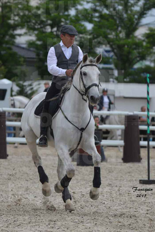 Salon Equitaine de Bordeaux 2015 - Concours d'Equitation de Travail avec chevaux Ibériques - Épreuves de Maniabilités Chronométré - 152