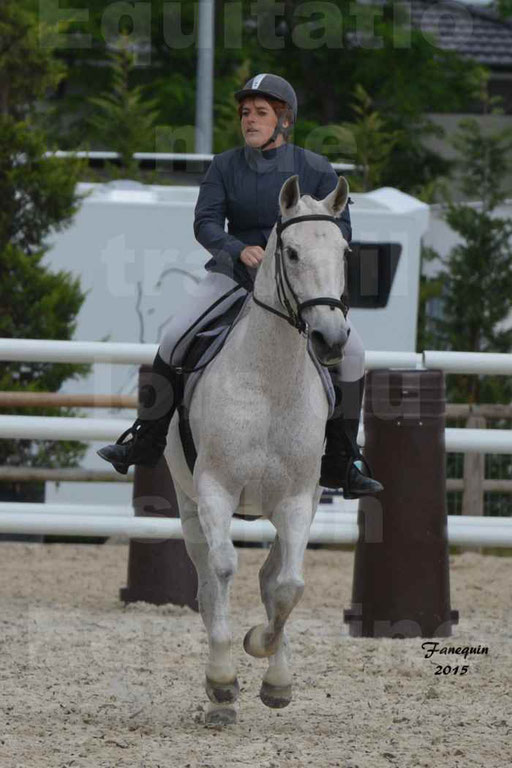 Salon Equitaine de Bordeaux 2015 - Concours d'Equitation de Travail avec chevaux Ibériques - Épreuves de Maniabilités Chronométré - 131