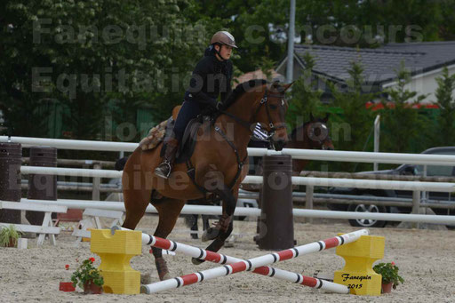 Salon Equitaine de Bordeaux 2015 - Concours d'Equitation de Travail avec chevaux Ibériques - Épreuves de Maniabilités Chronométré - 044