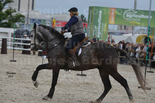 Salon Equitaine de Bordeaux 2015 - Concours d'Equitation de Travail avec chevaux Ibériques - Épreuves de Maniabilités Chronométré - 092