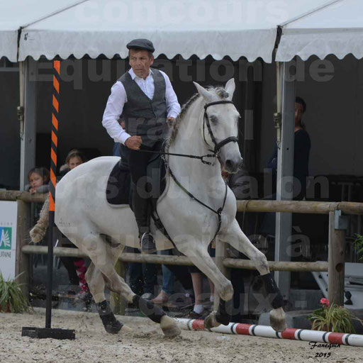 Salon Equitaine de Bordeaux 2015 - Concours d'Equitation de Travail avec chevaux Ibériques - Épreuves de Maniabilités Chronométré - 157