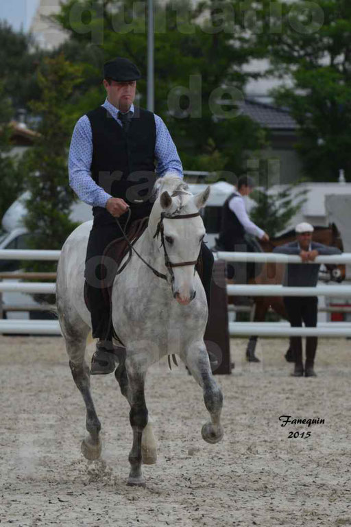 Salon Equitaine de Bordeaux 2015 - Concours d'Equitation de Travail avec chevaux Ibériques - Épreuves de Maniabilités Chronométré - 106