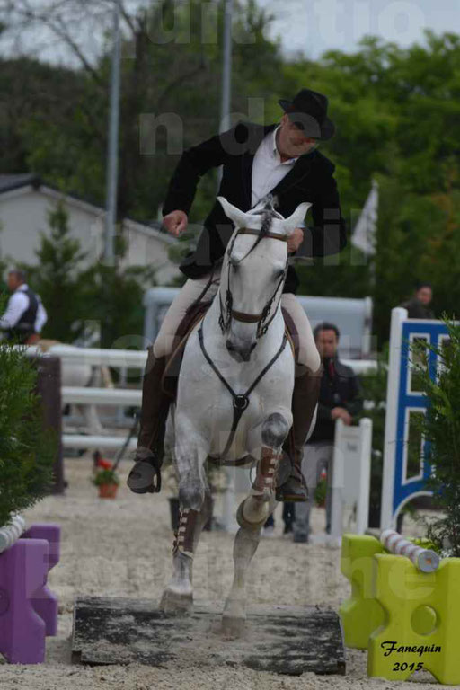 Salon Equitaine de Bordeaux 2015 - Concours d'Equitation de Travail avec chevaux Ibériques - Épreuves de Maniabilités Chronométré - 095