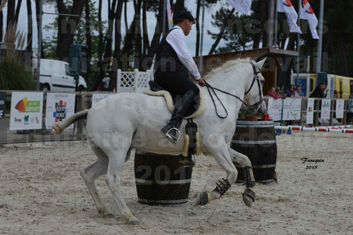 Salon Equitaine de Bordeaux 2015 - Concours d'Equitation de Travail avec chevaux Ibériques - Épreuves de Maniabilités Chronométré - 039