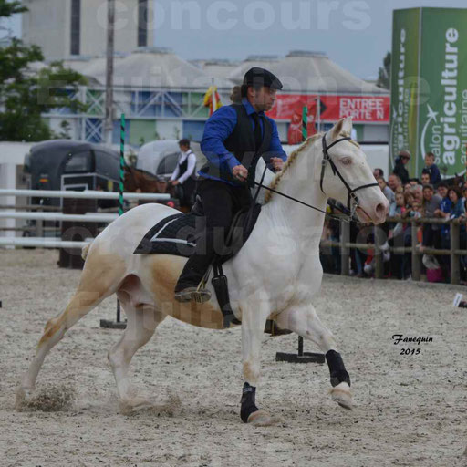 Salon Equitaine de Bordeaux 2015 - Concours d'Equitation de Travail avec chevaux Ibériques - Épreuves de Maniabilités Chronométré - 007