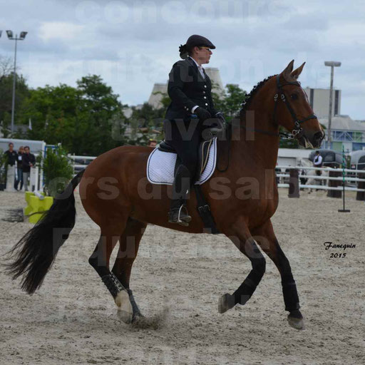 Salon Equitaine de Bordeaux 2015 - Concours d'Equitation de Travail avec chevaux Ibériques - Épreuves de Maniabilités Chronométré - 030