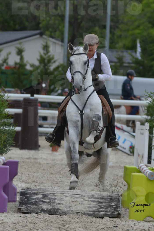 Salon Equitaine de Bordeaux 2015 - Concours d'Equitation de Travail avec chevaux Ibériques - Épreuves de Maniabilités Chronométré - 140