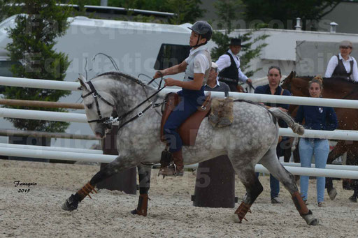 Salon Equitaine de Bordeaux 2015 - Concours d'Equitation de Travail avec chevaux Ibériques - Épreuves de Maniabilités Chronométré - 117