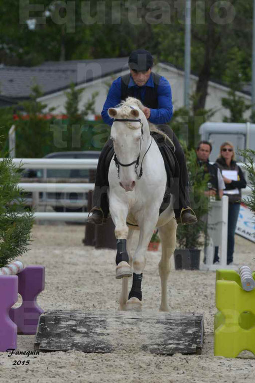 Salon Equitaine de Bordeaux 2015 - Concours d'Equitation de Travail avec chevaux Ibériques - Épreuves de Maniabilités Chronométré - 011
