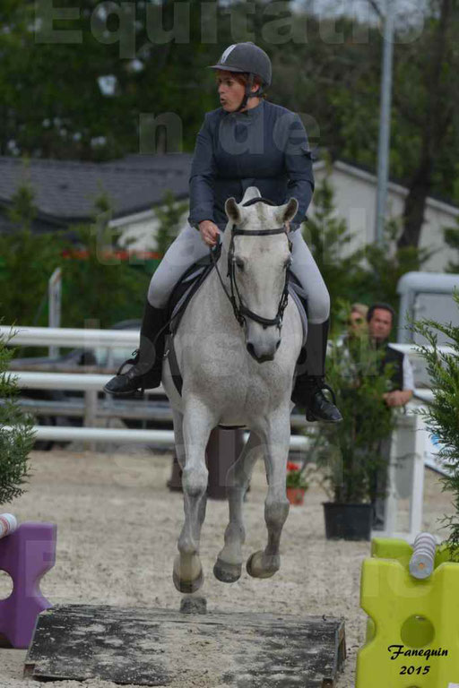 Salon Equitaine de Bordeaux 2015 - Concours d'Equitation de Travail avec chevaux Ibériques - Épreuves de Maniabilités Chronométré - 133