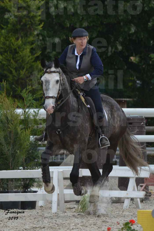 Salon Equitaine de Bordeaux 2015 - Concours d'Equitation de Travail avec chevaux Ibériques - Épreuves de Maniabilités Chronométré - 087