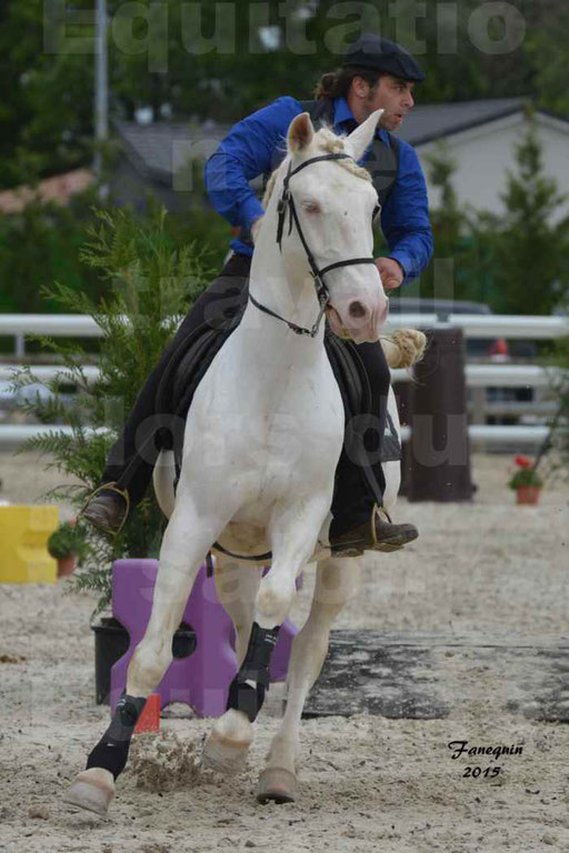 Salon Equitaine de Bordeaux 2015 - Concours d'Equitation de Travail avec chevaux Ibériques - Épreuves de Maniabilités Chronométré - 012