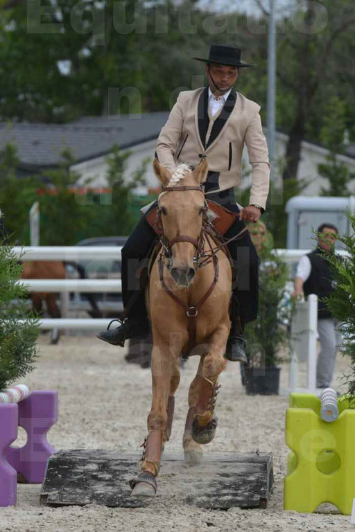 Salon Equitaine de Bordeaux 2015 - Concours d'Equitation de Travail avec chevaux Ibériques - Épreuves de Maniabilités Chronométré - 126