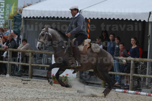 Salon Equitaine de Bordeaux 2015 - Concours d'Equitation de Travail avec chevaux Ibériques - Épreuves de Maniabilités Chronométré - 081