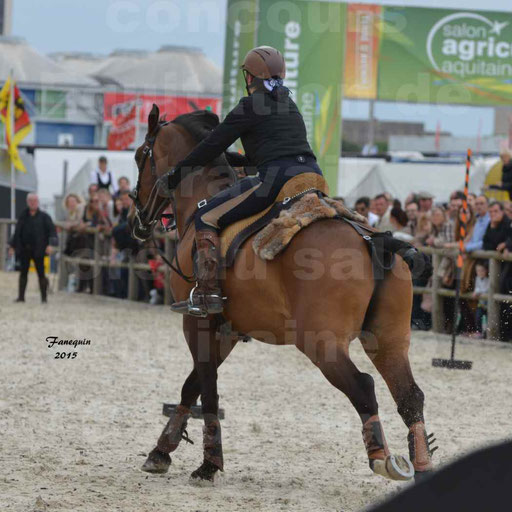 Salon Equitaine de Bordeaux 2015 - Concours d'Equitation de Travail avec chevaux Ibériques - Épreuves de Maniabilités Chronométré - 048