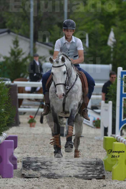 Salon Equitaine de Bordeaux 2015 - Concours d'Equitation de Travail avec chevaux Ibériques - Épreuves de Maniabilités Chronométré - 119