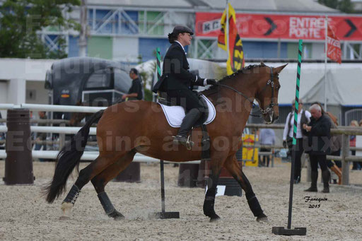 Salon Equitaine de Bordeaux 2015 - Concours d'Equitation de Travail avec chevaux Ibériques - Épreuves de Maniabilités Chronométré - 033