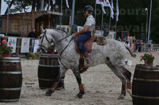 Salon Equitaine de Bordeaux 2015 - Concours d'Equitation de Travail avec chevaux Ibériques - Épreuves de Maniabilités Chronométré - 121