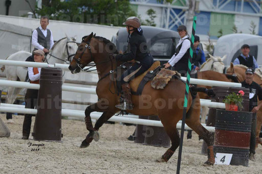 Salon Equitaine de Bordeaux 2015 - Concours d'Equitation de Travail avec chevaux Ibériques - Épreuves de Maniabilités Chronométré - 042